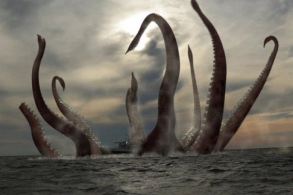 Kraken смылка