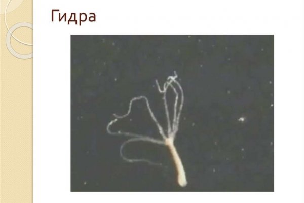 Кракен маркетплейс товары
