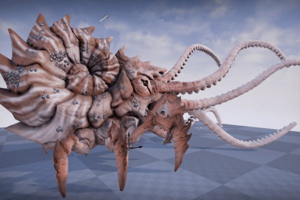 Hydra kraken